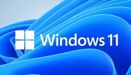 win11显示有黑边怎么回事