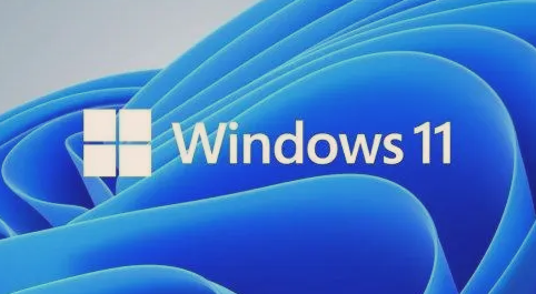 为什么Win11第三方软件无法下载