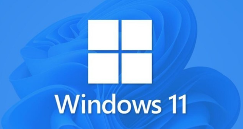 win11玩不了植物大战僵尸怎么回事