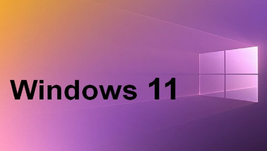 win11怎么设置视频壁纸