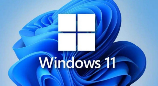 为什么Win11老是出现黑白屏情况
