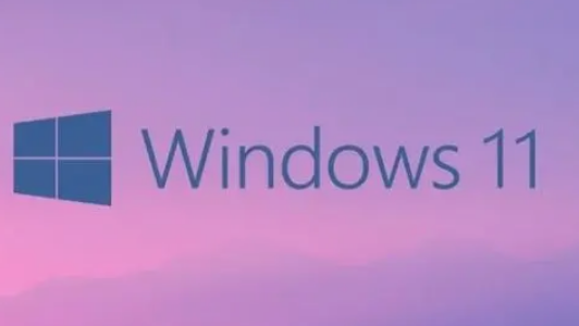 win11文件后缀名如何修改