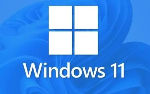 为什么win11驱动加载不了