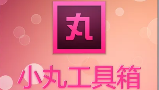 小丸工具箱查看媒体文件信息步骤介绍