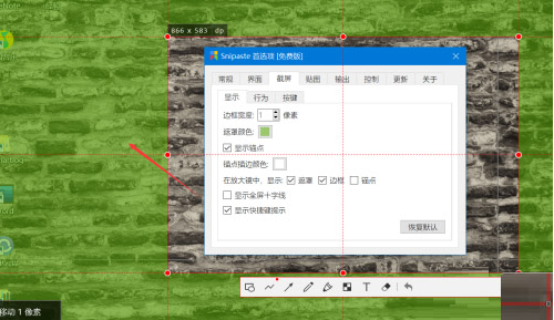 Snipaste设置环境遮罩色方法介绍