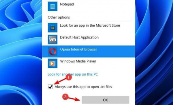 windows11更改应用程序属性方法介绍