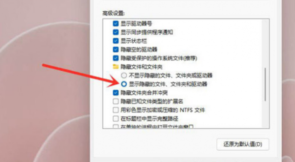 Windows11隐秘项目查看教程分享