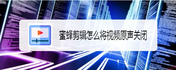蜜蜂剪辑视频消音步骤介绍