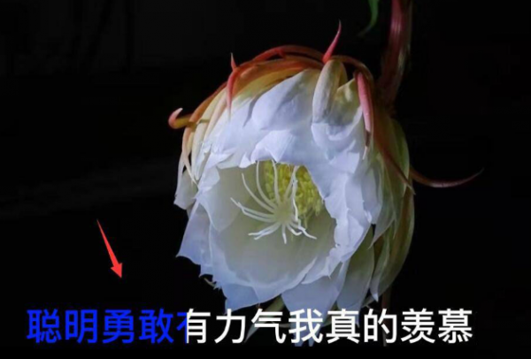 剪映字幕逐字变色制作教程分享
