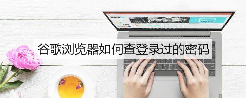 谷歌浏览器怎么查看登录过的密码