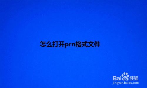 prn文件怎么打开