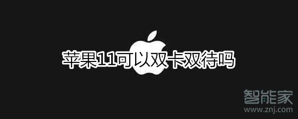 苹果11支持双卡双待吗