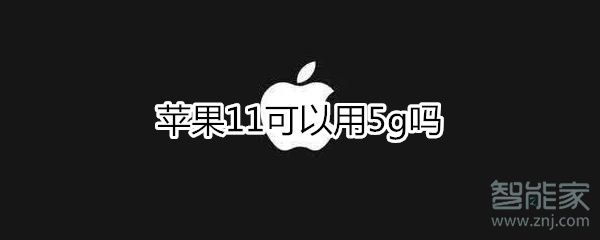 苹果11支持5g网络吗