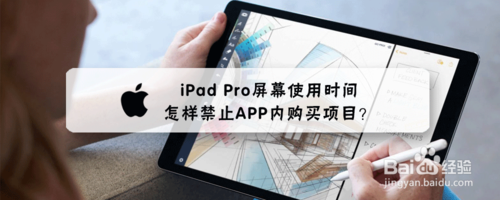 iPad Pro如何禁止APP内购买项目