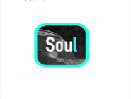 Soul怎么设置权限？设置权限的方法介绍
