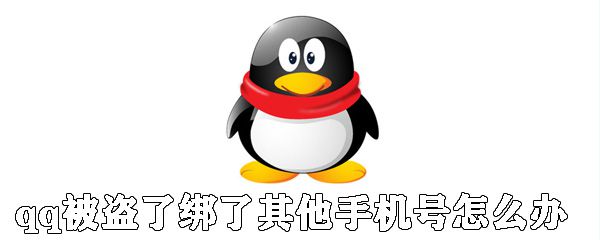 qq被盗了绑了其他手机号怎么办？qq号被盗找回方法解析
