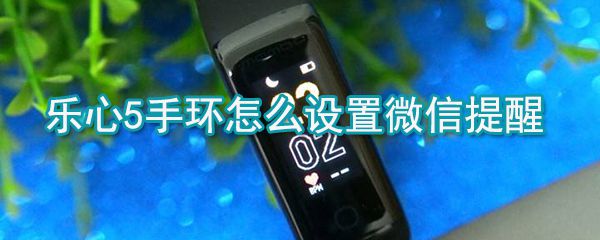 乐心5手环微信提醒怎么设置_乐心5手环微信提醒设置技巧分享