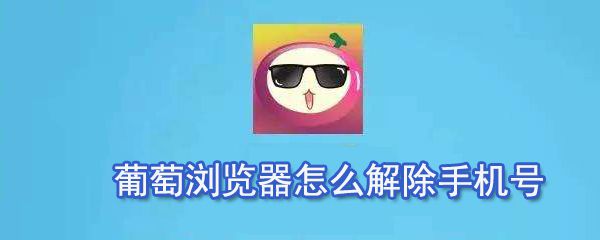 葡萄浏览器如何解除手机号_葡萄浏览器解除手机号方法分享