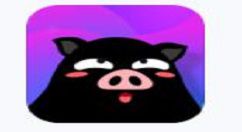 黑猪电竞怎么申请陪玩？申请陪玩的方法说明