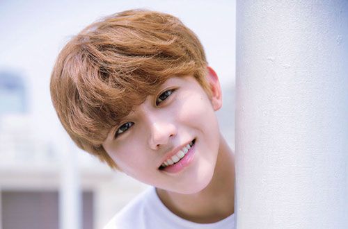 蔡徐坤梗是什么意思_蔡徐坤梗说明