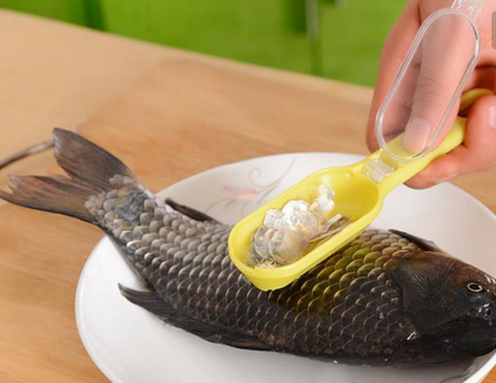 鱼鳞是什么垃圾？ 鱼鳞是干垃圾还是湿垃圾?