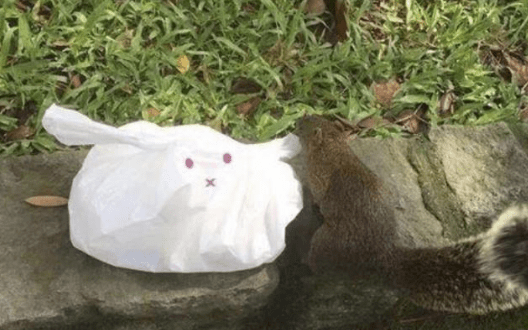 塑料袋是什么垃圾分类 塑料袋是可回收垃圾吗