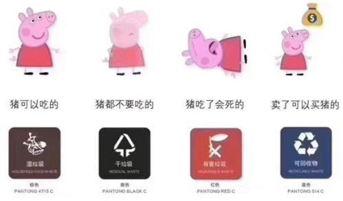 干垃圾和湿垃圾都有哪些 上海垃圾分类怎么分