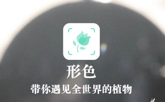 形色app怎么使用？形色app使用教程