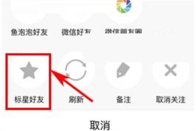 鱼泡泡如何设置标星好友