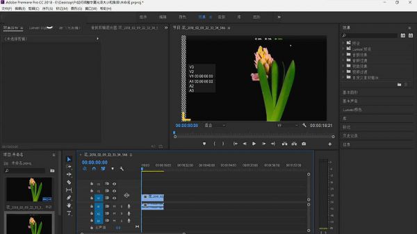 Premiere给字幕加纹理图的图文操作过程