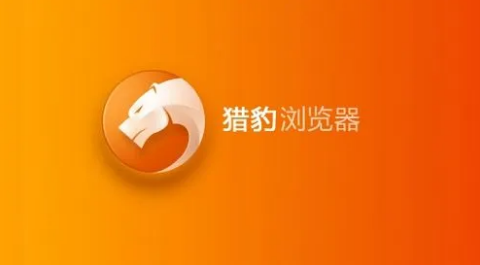 猎豹安全浏览器怎么调整分辨率