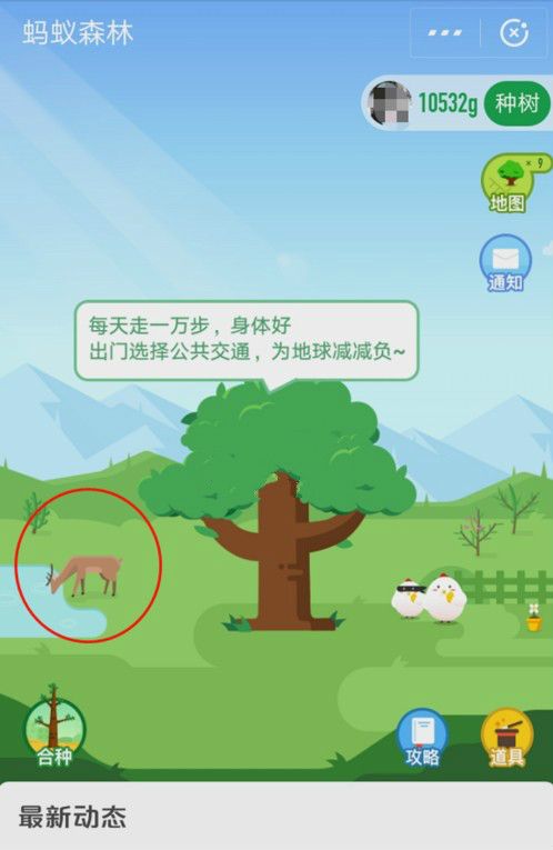 怎么在蚂蚁森林首页有小鹿