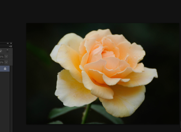 Photoshop使用抓手工具的简单操作方法