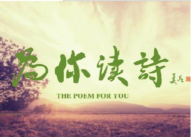 为你读诗APP中使用邮箱具体操作步骤