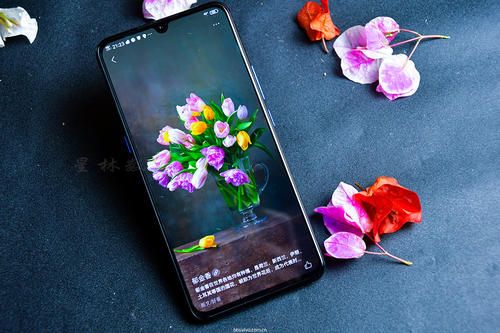 iqoo手机中添加桌面插件具体方法