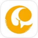 智慧朝阳app中查询公交线路具体操作步骤