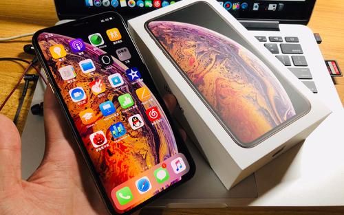 iPhoneXs Max中将多任务管理打开具体操作方法