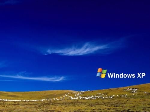 winxp系统出现运行软件不兼容具体处理步骤