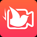 简影详细使用步骤介绍