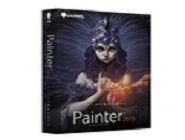 painter中使用水墨画笔绘画出图形的具体操作方法