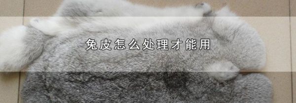 兔皮怎么处理才能用