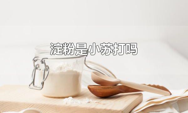 淀粉是小苏打吗 淀粉不是小苏打