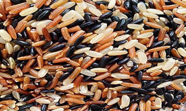 三色糙米需要提前泡一晚上吗 三色糙米需要提前泡一晚上