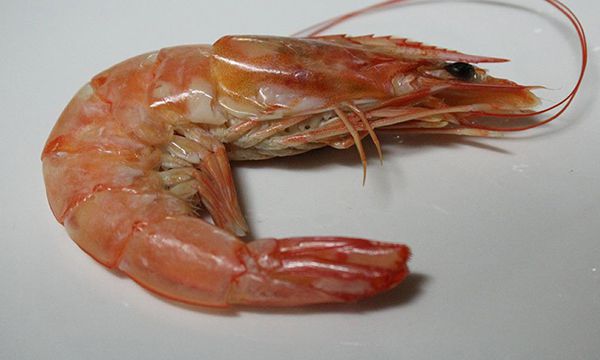 虾要蒸多少分钟最好 虾要蒸8-15分钟最好