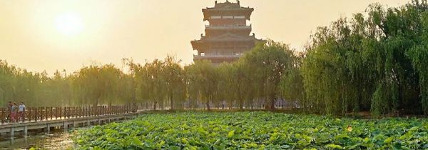 东光县属于哪个市 东光县的面积有多大