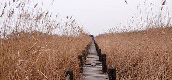 黄河长多少千米（最佳答案） 黄河有哪些支流