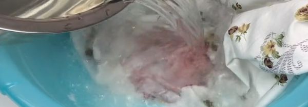 血迹弄到床单上怎么样才能洗干净 柠檬汁水和盐轻松去除血迹
