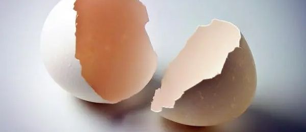 如何消灭家里的蚂蚁小妙方 家里出现蚂蚁是怎么回事