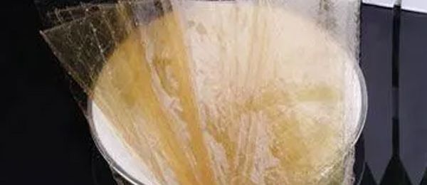 白凉粉和吉利丁片哪个更健康 白凉粉能代替吉利丁吗