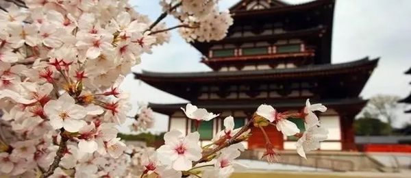 西安属于什么省 西安属于陕西省